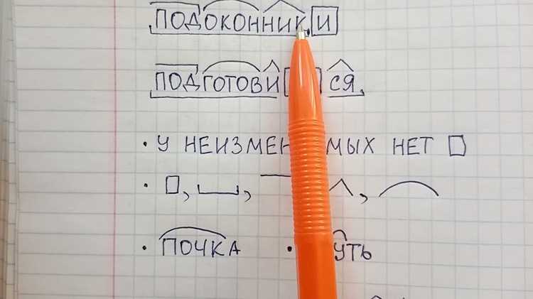 Региональные различия в использовании термина 
