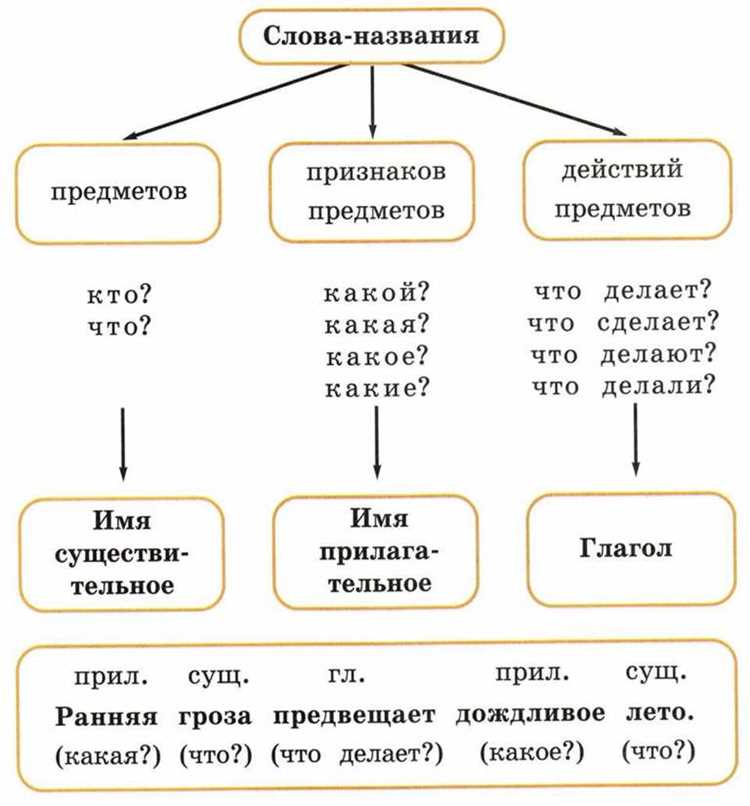 Глаголы: виды и их особенности в предложении