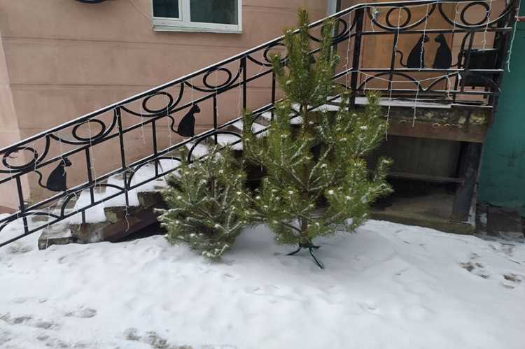 Региональные особенности применения синонимов