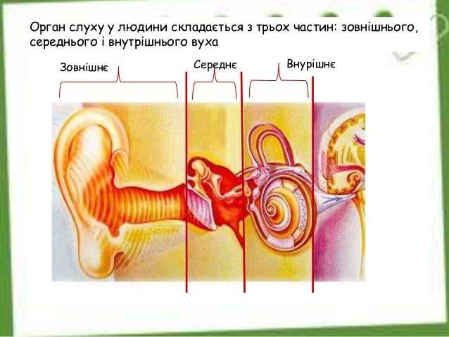 Как выбрать подходящий синоним в зависимости от контекста