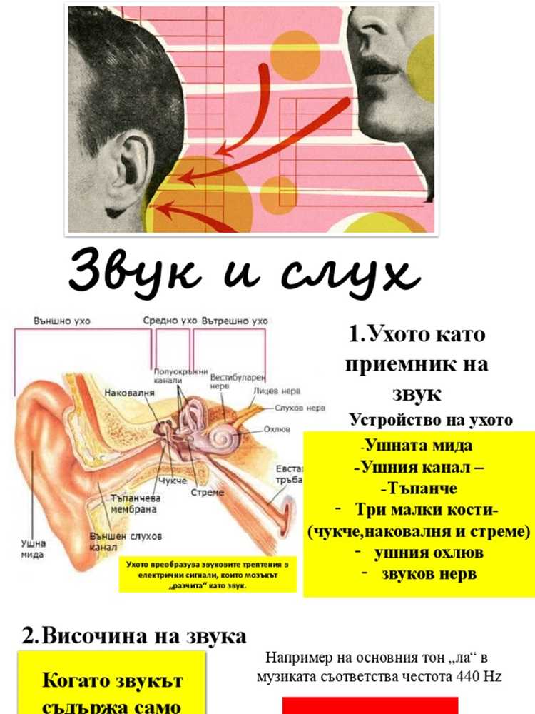 Основные синонимы слова 