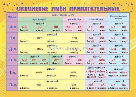 Склонение в родительном падеже: особенности и примеры