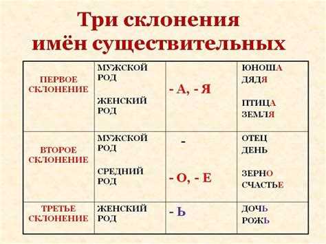 Основные формы слова 