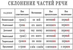 Общие сведения о изменении форм существительных