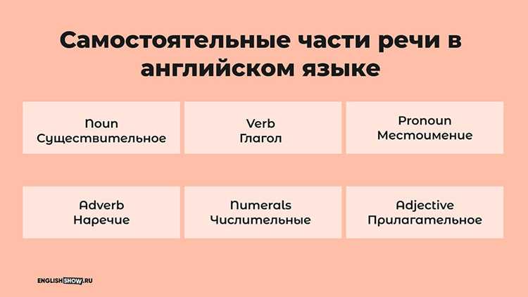 Прилагательные и их согласование: основные правила