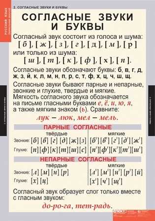 Солнечные пятна: статистика и их значение для планеты