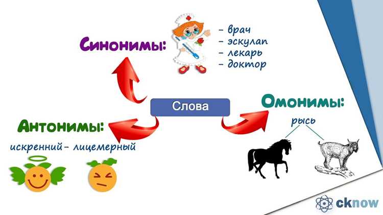 Определение синонимов и их роль в языке