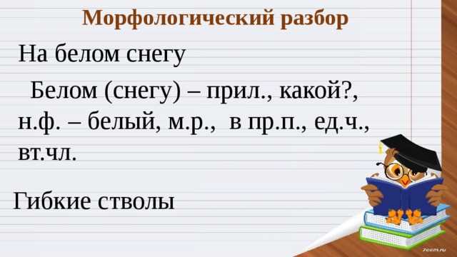 Прилагательные: структура и особенности анализа