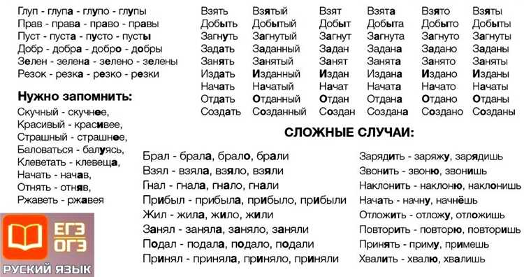 Значение акцента в русском языке
