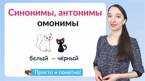 Примеры использования синонимов в ежедневной речи