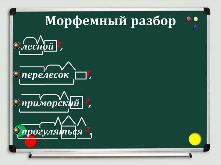 Порядок выполнения морфологического анализа