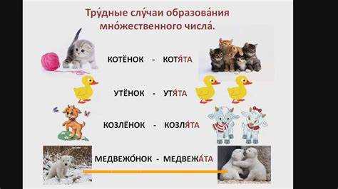 Слово Вымпел в нормативных и разговорных стилях