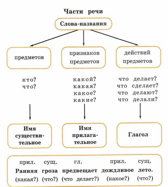 Функция глагола: действия и состояния