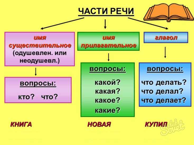 Местоимения: классификация и их роль вместо имен существительных