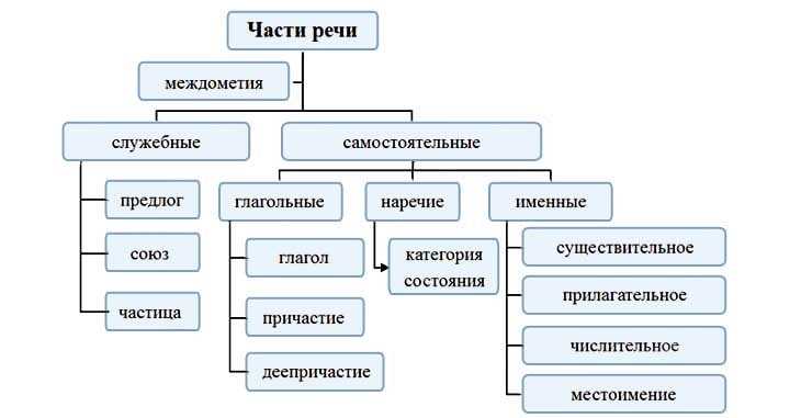 Предлоги: как правильно связывать слова в предложении