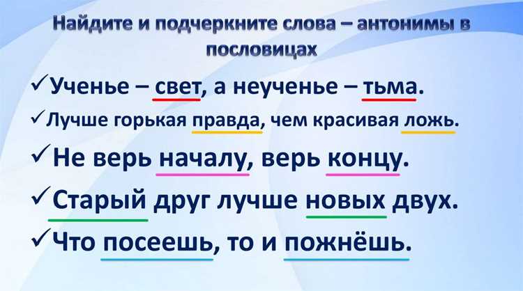 Обзор основных синонимов слова 