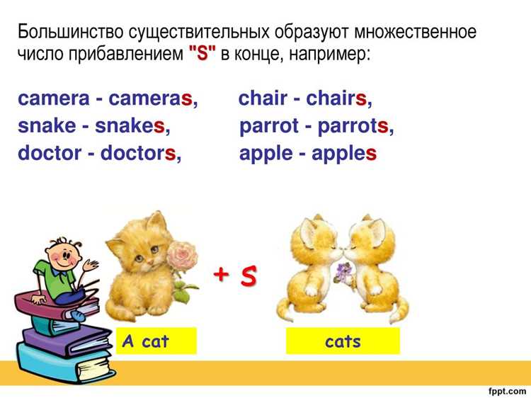 Исключения и особенности склонения