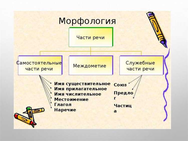 Визуализация морфологических данных: карты и графики